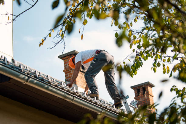Best Roof Restoration Services  in Noroton Heights, CT