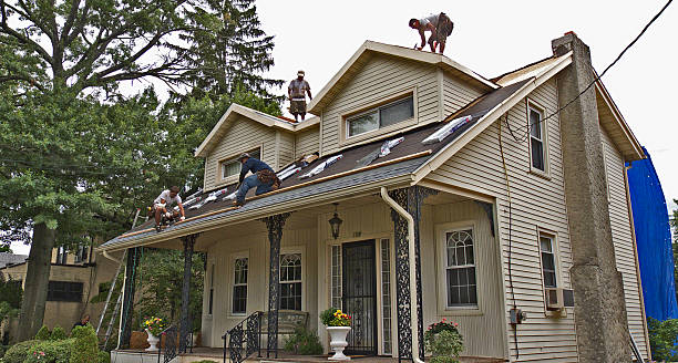 Best Roof Maintenance Services  in Noroton Heights, CT
